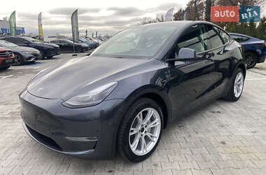 Позашляховик / Кросовер Tesla Model Y 2024 в Києві