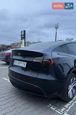 Внедорожник / Кроссовер Tesla Model Y 2024 в Хмельницком