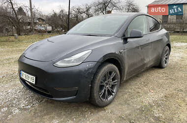 Позашляховик / Кросовер Tesla Model Y 2024 в Бродах