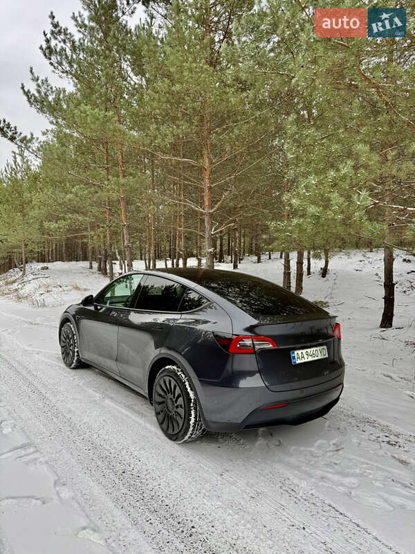 Внедорожник / Кроссовер Tesla Model Y 2024 в Броварах