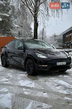 Внедорожник / Кроссовер Tesla Model Y 2024 в Черновцах