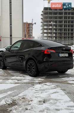 Внедорожник / Кроссовер Tesla Model Y 2024 в Черновцах