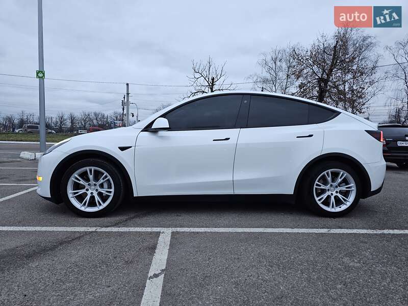 Внедорожник / Кроссовер Tesla Model Y 2020 в Житомире
