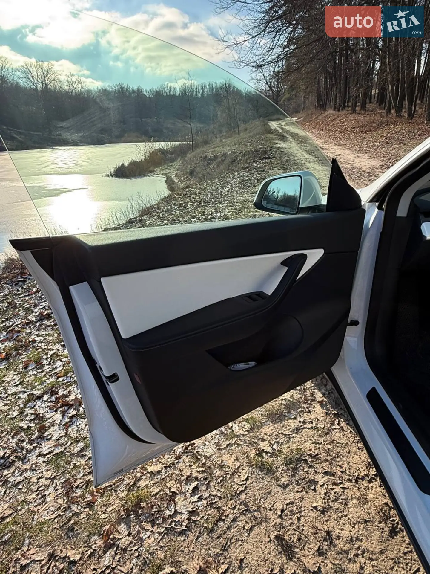 2021 Tesla Model Y - мініатюра 14