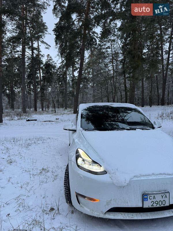Внедорожник / Кроссовер Tesla Model Y 2021 в Черкассах