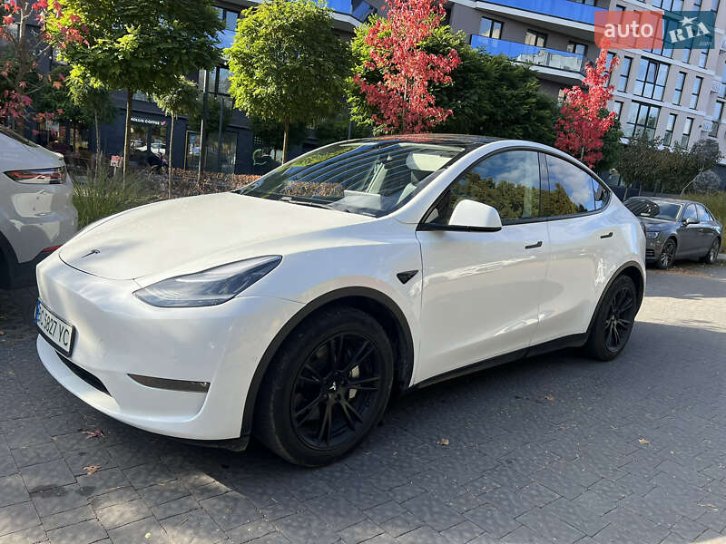 Внедорожник / Кроссовер Tesla Model Y 2020 в Львове
