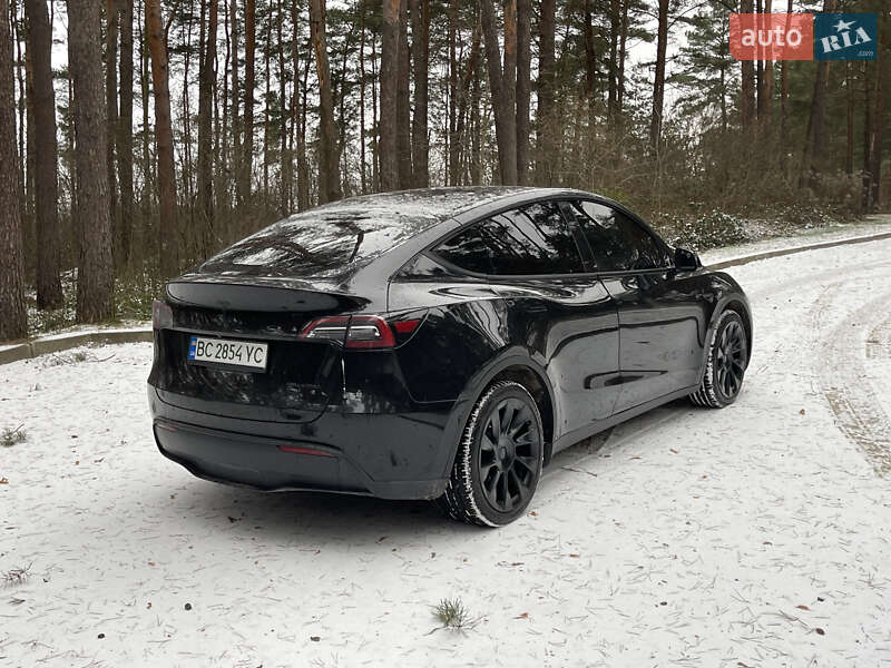 Внедорожник / Кроссовер Tesla Model Y 2023 в Новояворовске