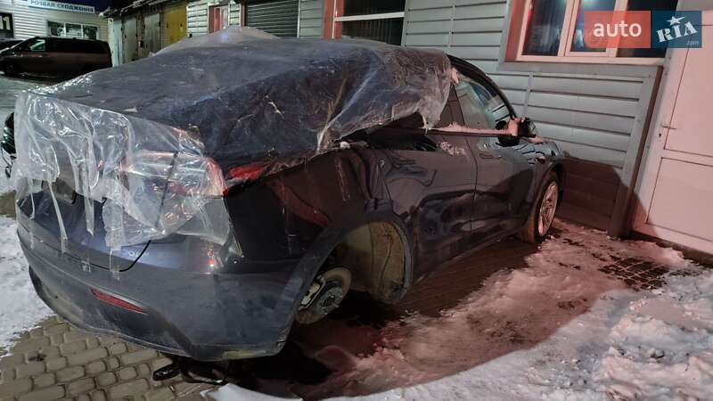 Позашляховик / Кросовер Tesla Model Y 2023 в Білій Церкві
