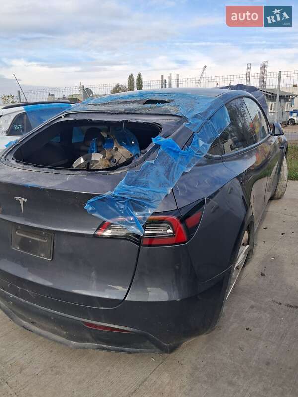 Позашляховик / Кросовер Tesla Model Y 2023 в Білій Церкві