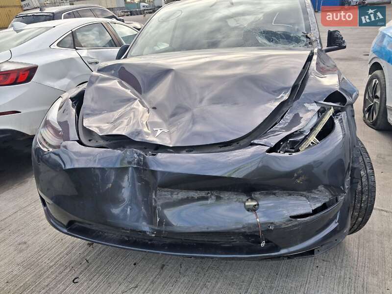 Позашляховик / Кросовер Tesla Model Y 2023 в Білій Церкві