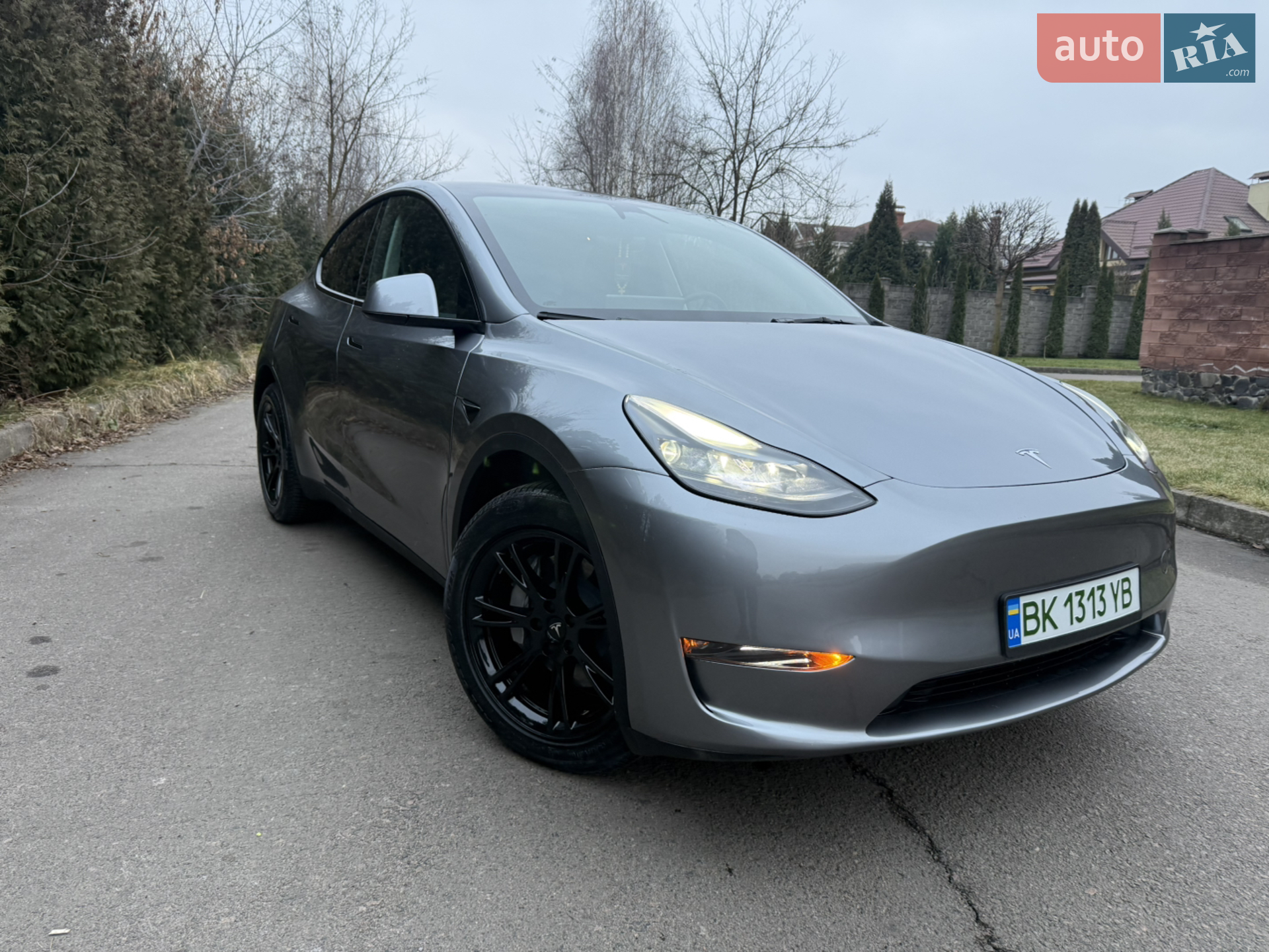 2025 Tesla Model Y - мініатюра 3