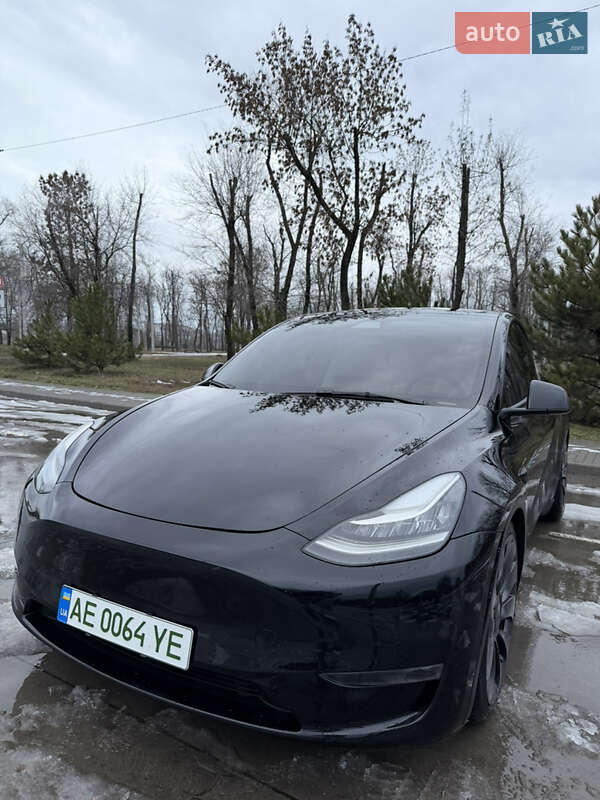 Внедорожник / Кроссовер Tesla Model Y 2020 в Синельниково