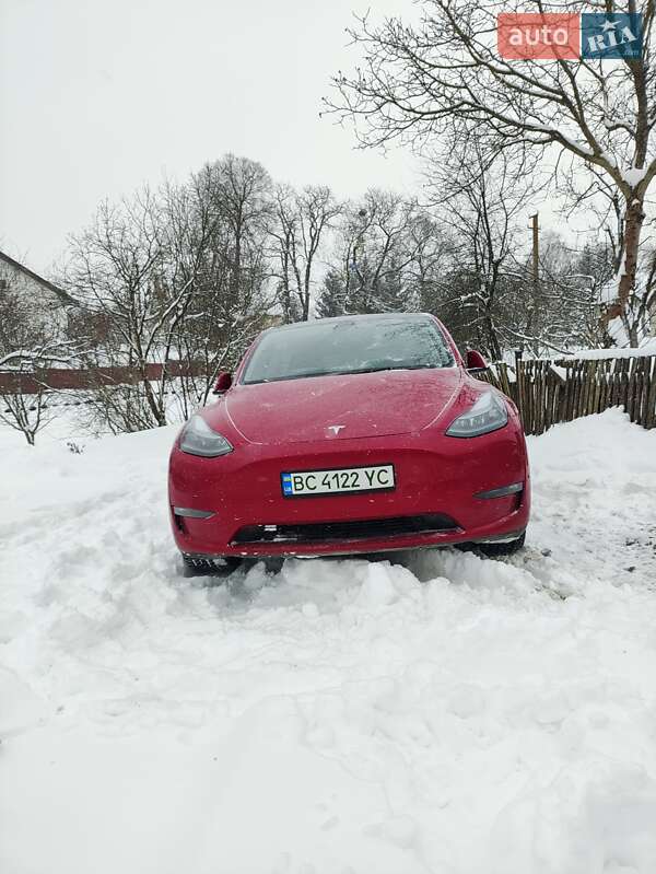 2023 Tesla Model Y, VIN 7SAYGDEE7PF674249:plate — zdjęcie 1 (autoria)