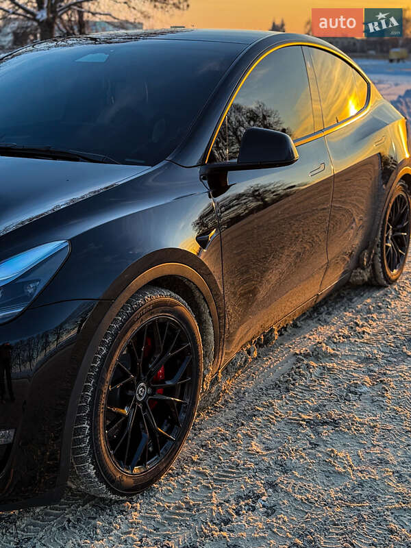 Позашляховик / Кросовер Tesla Model Y 2023 в Києві