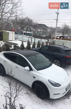 Позашляховик / Кросовер Tesla Model Y 2024 в Дунаївцях