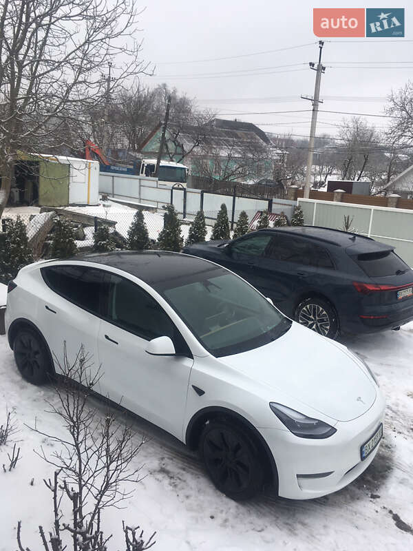 Внедорожник / Кроссовер Tesla Model Y 2024 в Дунаевцах