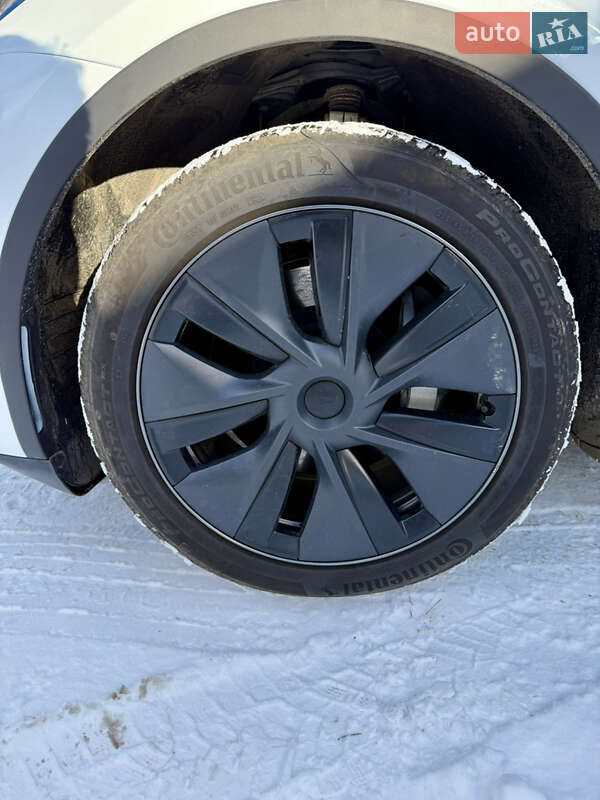 Внедорожник / Кроссовер Tesla Model Y 2024 в Черкассах