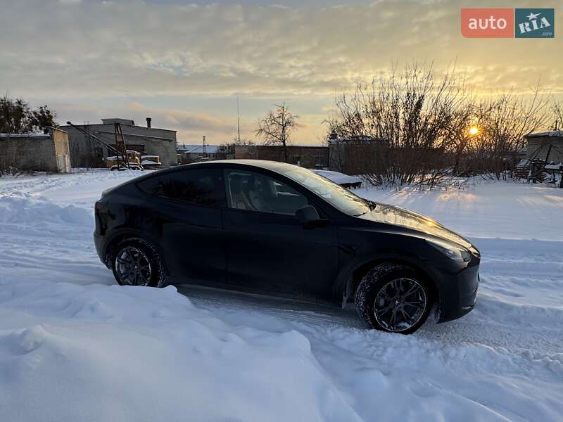 Внедорожник / Кроссовер Tesla Model Y 2024 в Сарнах