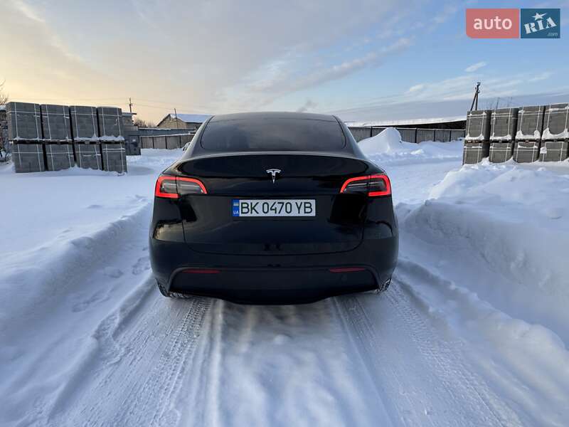 Внедорожник / Кроссовер Tesla Model Y 2024 в Сарнах