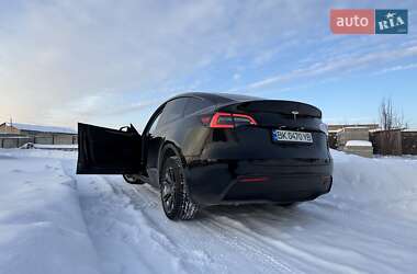 Внедорожник / Кроссовер Tesla Model Y 2024 в Сарнах