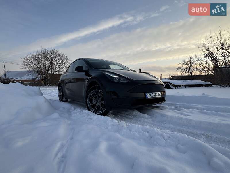 Внедорожник / Кроссовер Tesla Model Y 2024 в Сарнах
