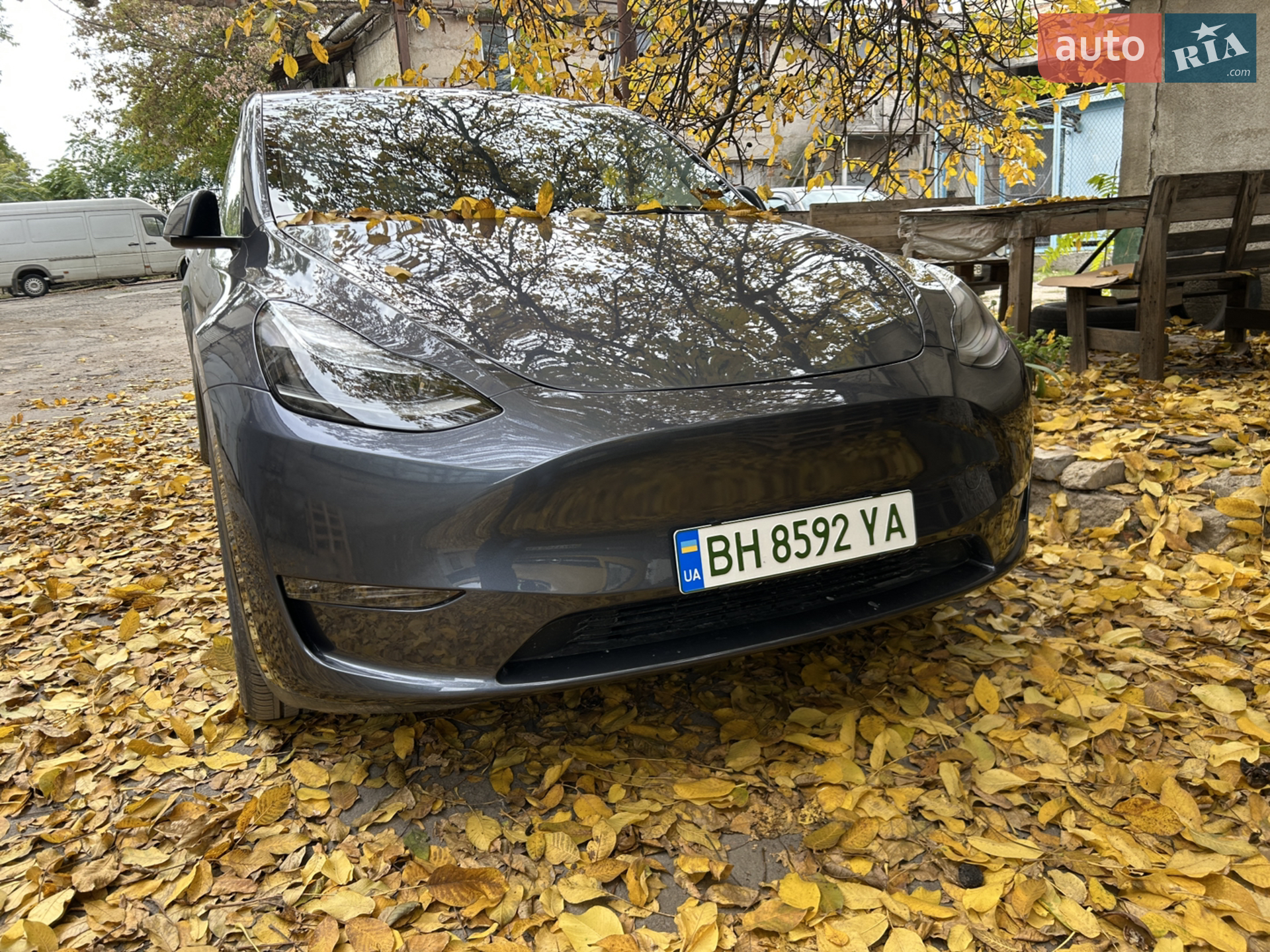 2023 Tesla Model Y - мініатюра 2