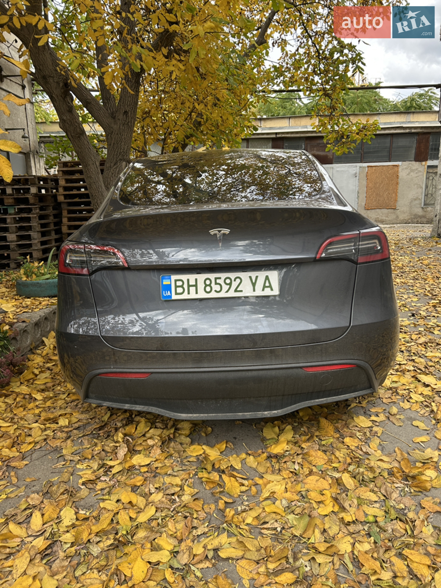 2023 Tesla Model Y - мініатюра 4