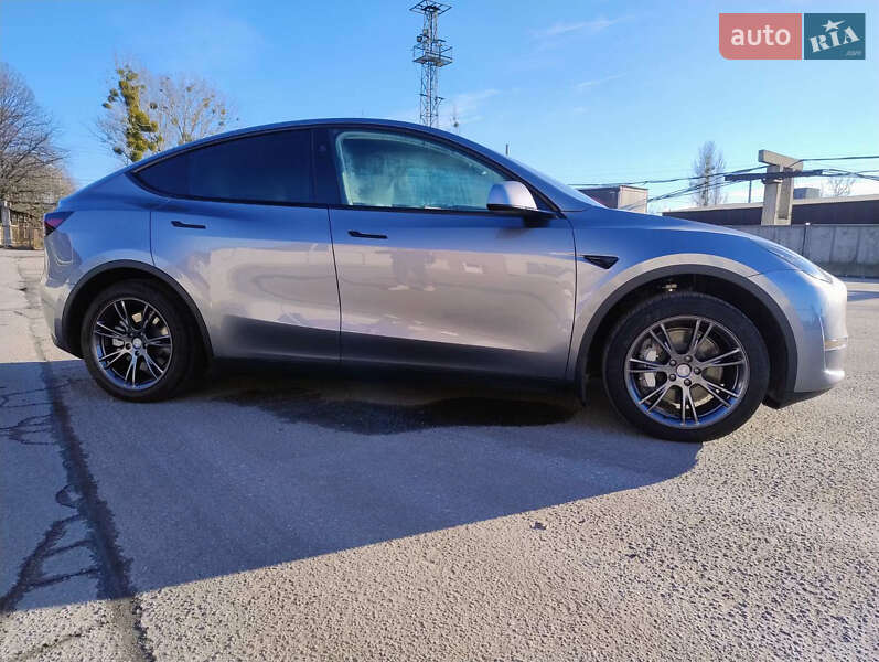Внедорожник / Кроссовер Tesla Model Y 2024 в Житомире