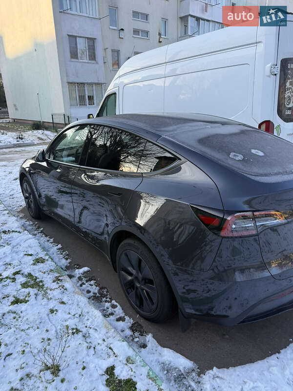 Внедорожник / Кроссовер Tesla Model Y 2024 в Одессе