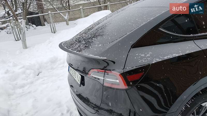 Внедорожник / Кроссовер Tesla Model Y 2024 в Житомире