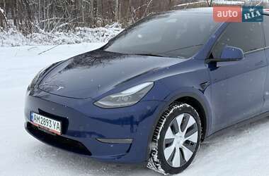 Внедорожник / Кроссовер Tesla Model Y 2023 в Звягеле