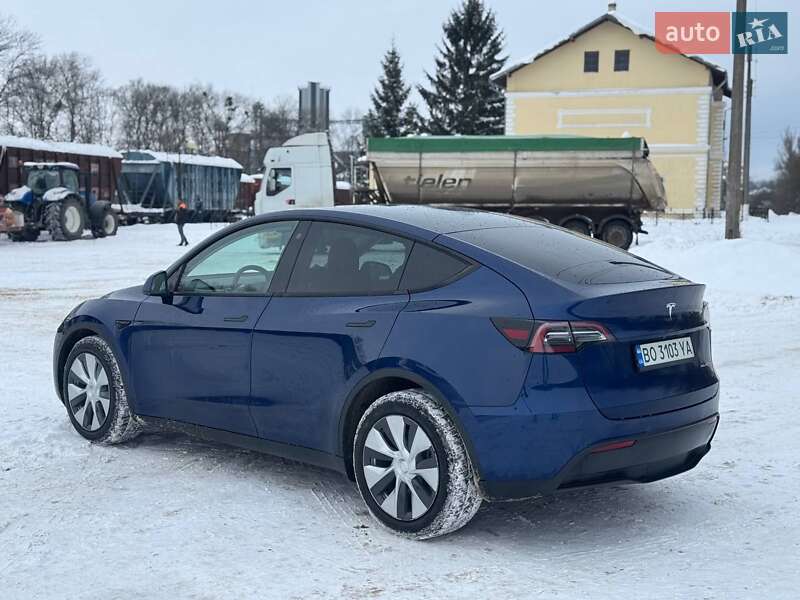 Внедорожник / Кроссовер Tesla Model Y 2021 в Львове