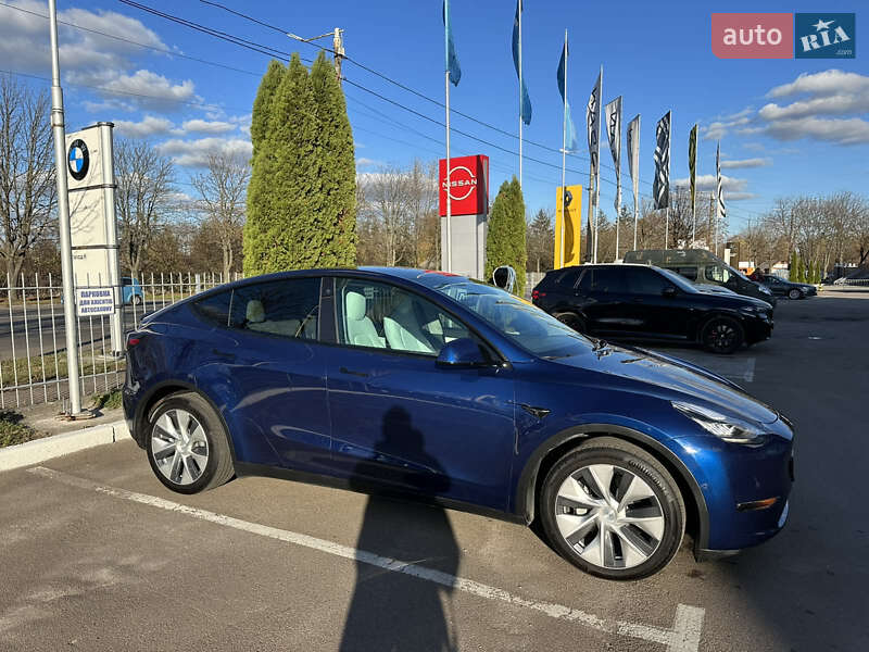 Внедорожник / Кроссовер Tesla Model Y 2021 в Житомире