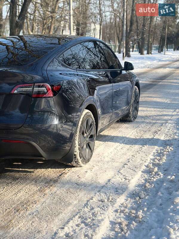 Внедорожник / Кроссовер Tesla Model Y 2024 в Днепре