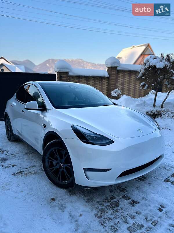 Позашляховик / Кросовер Tesla Model Y 2024 в Тячеві
