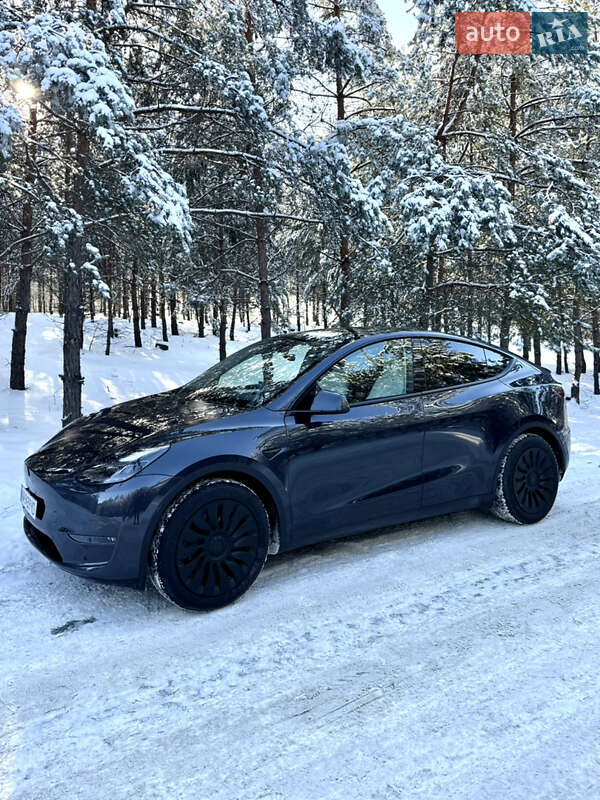 Внедорожник / Кроссовер Tesla Model Y 2024 в Броварах