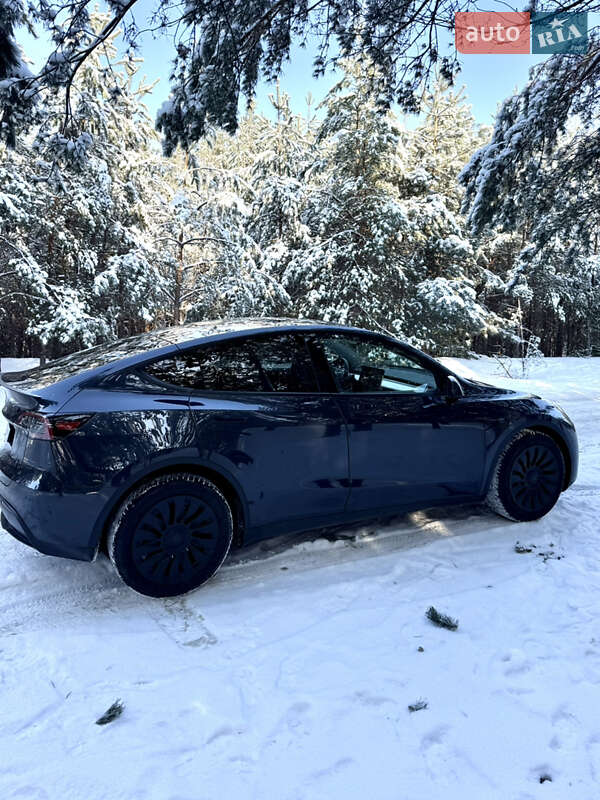 Внедорожник / Кроссовер Tesla Model Y 2024 в Броварах