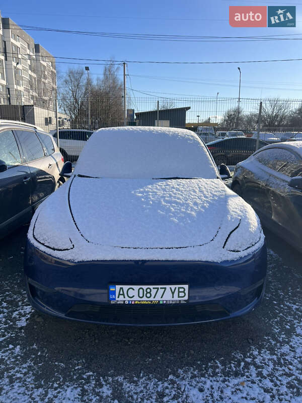 Позашляховик / Кросовер Tesla Model Y 2023 в Луцьку