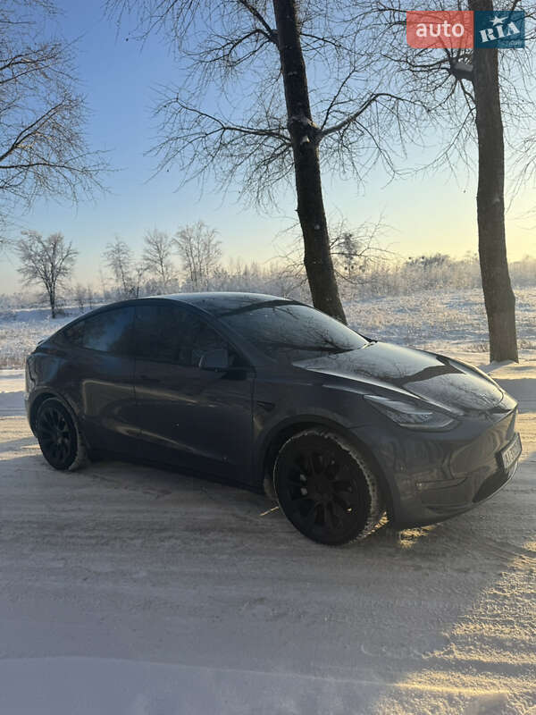Позашляховик / Кросовер Tesla Model Y 2021 в Бучі фото 10 Позашляховик / Кросовер Tesla Model Y 2021 в Бучі