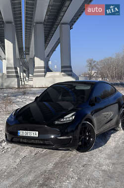 Позашляховик / Кросовер Tesla Model Y 2023 в Львові