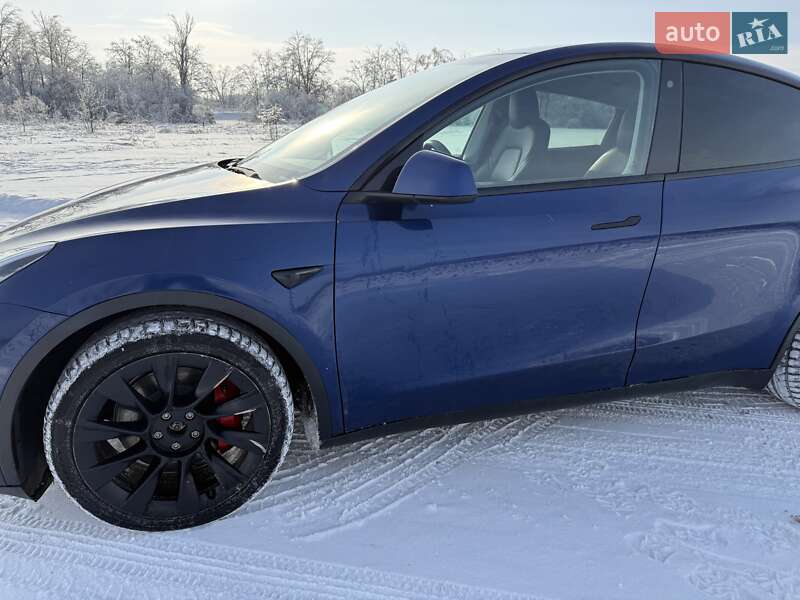 Внедорожник / Кроссовер Tesla Model Y 2020 в Фастове