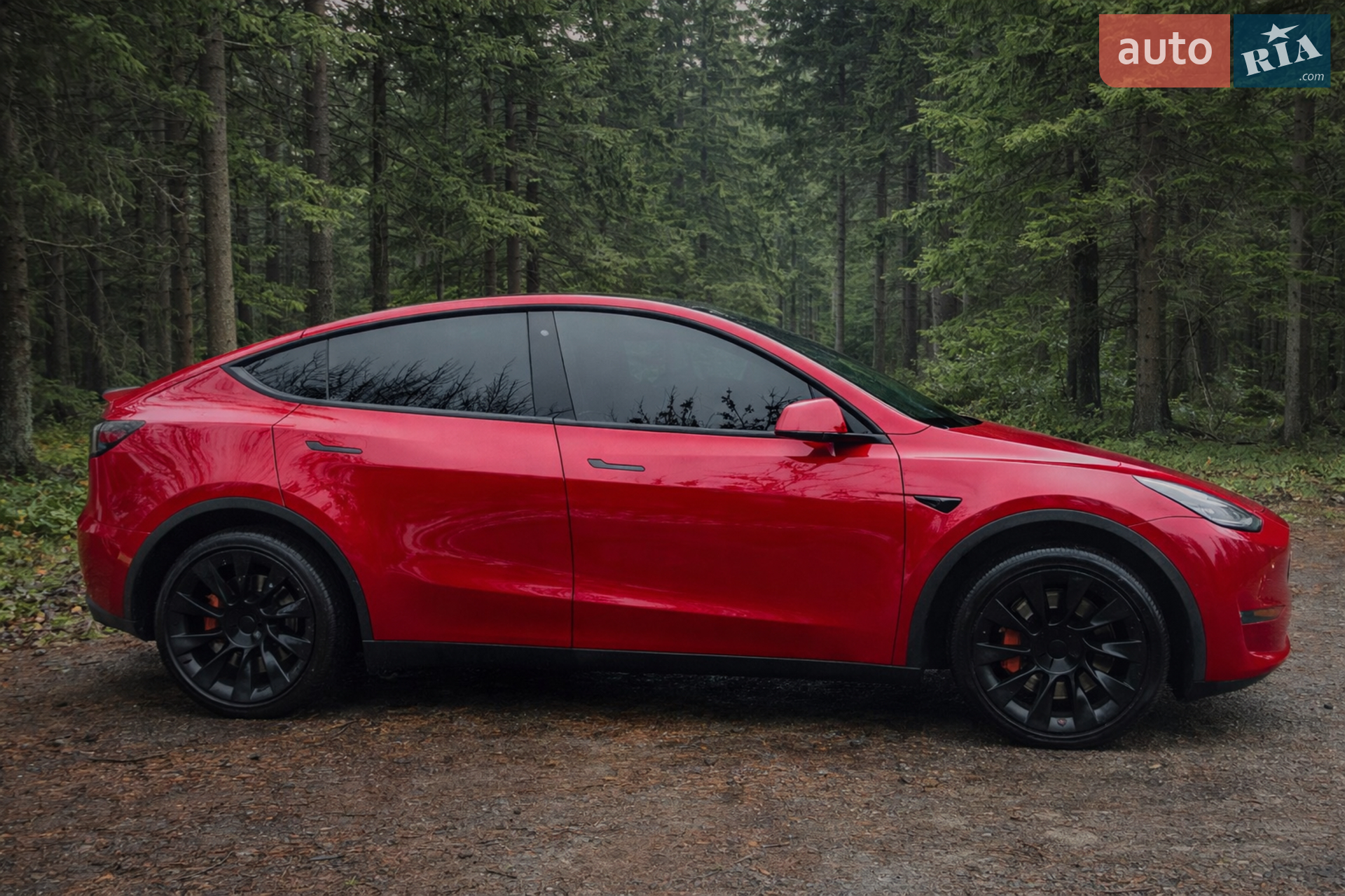 2020 Tesla Model Y - мініатюра 3