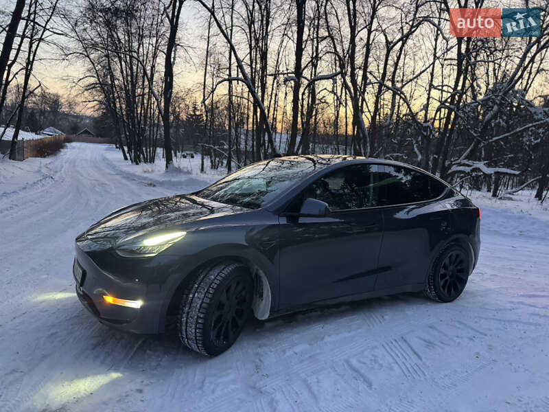 Позашляховик / Кросовер Tesla Model Y 2020 в Харкові фото 2 Позашляховик / Кросовер Tesla Model Y 2020 в Харкові