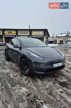 Позашляховик / Кросовер Tesla Model Y 2024 в Хмельницькому