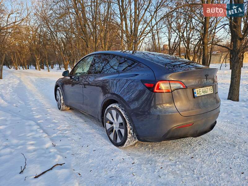 Позашляховик / Кросовер Tesla Model Y 2023 в Дніпрі
