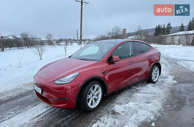 Внедорожник / Кроссовер Tesla Model Y 2023 в Золочеве