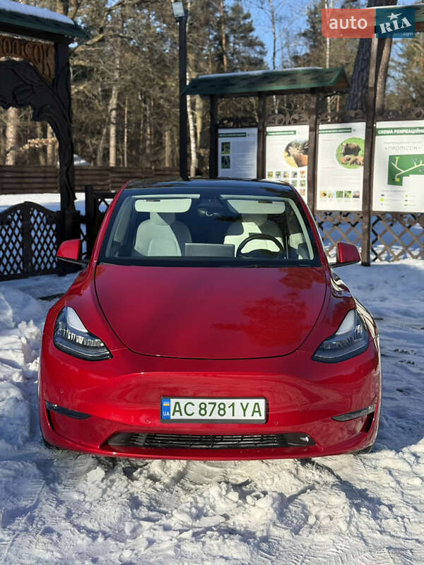 Позашляховик / Кросовер Tesla Model Y 2021 в Луцьку