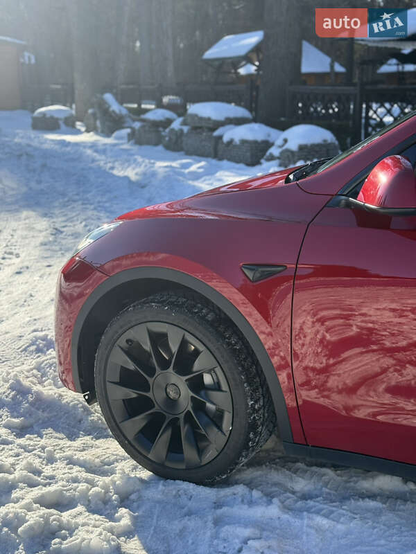 Позашляховик / Кросовер Tesla Model Y 2021 в Луцьку