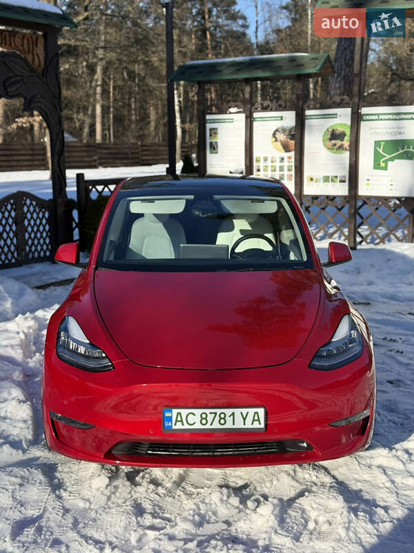 Позашляховик / Кросовер Tesla Model Y 2021 в Луцьку