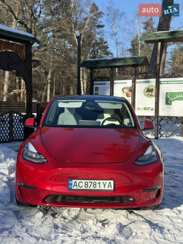 Позашляховик / Кросовер Tesla Model Y 2021 в Луцьку